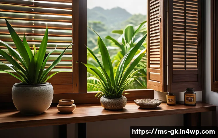 Transformer와 백터 모델의 비교 관련 이미지 2